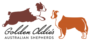 Golden Oldie´s Australian Shepherds