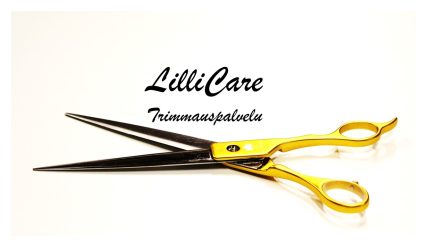 lillicare -logo nettisivuille